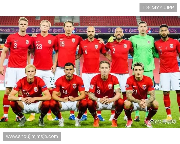 2026年世界杯已出线国家队完整名单及国旗展示指南