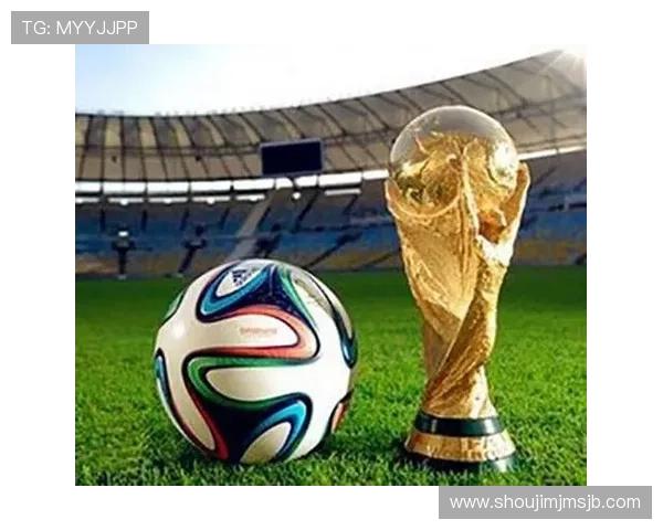 2026年世界杯48队参赛资格标准全面解读与申报流程指南