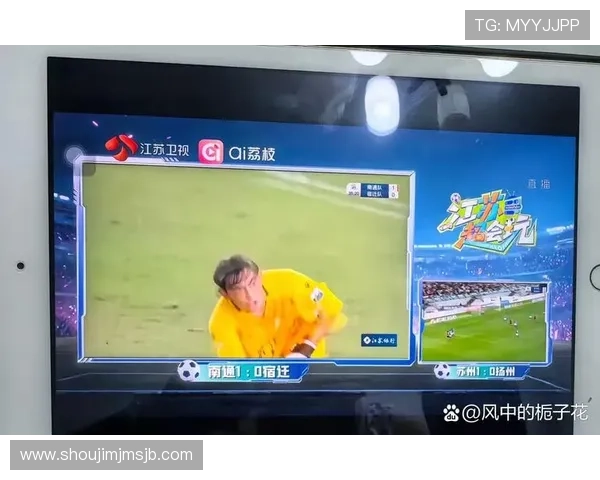 最全免费世界杯在线直播平台推荐，支持多设备多终端高清观看