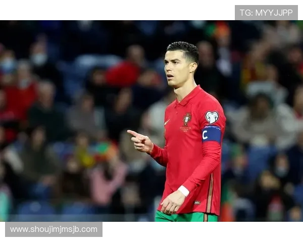 足球世界杯预选赛直播入口实时更新，确保你不错过每场精彩比赛